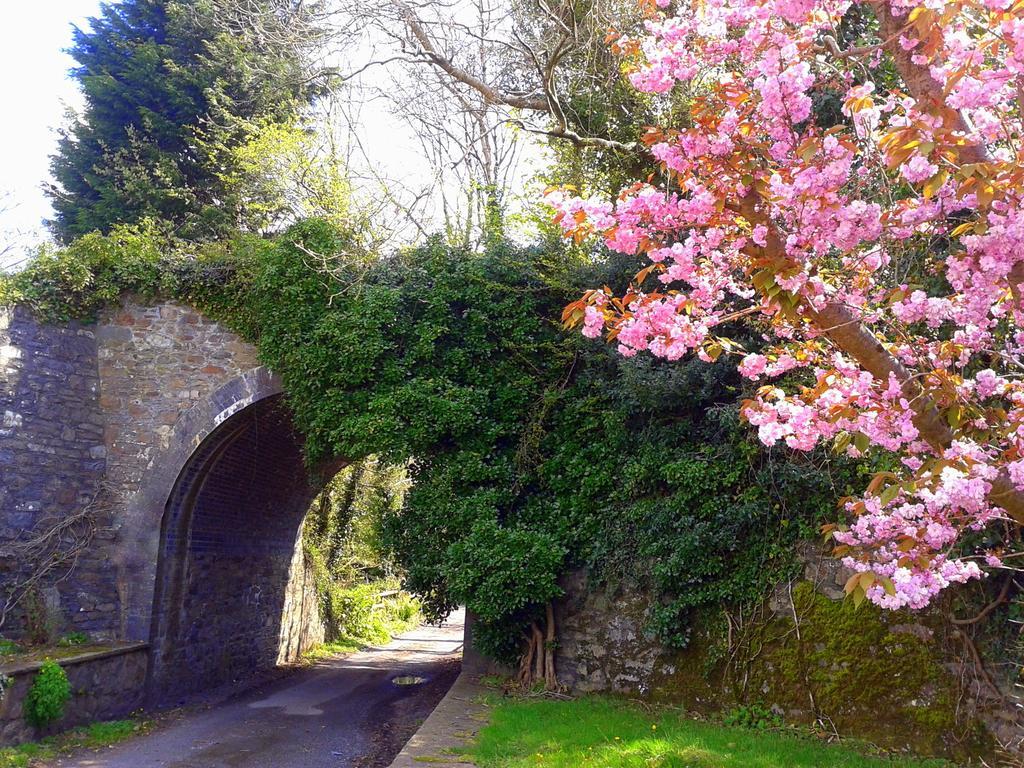 Ivybridge Guesthouse Fishguard Ngoại thất bức ảnh