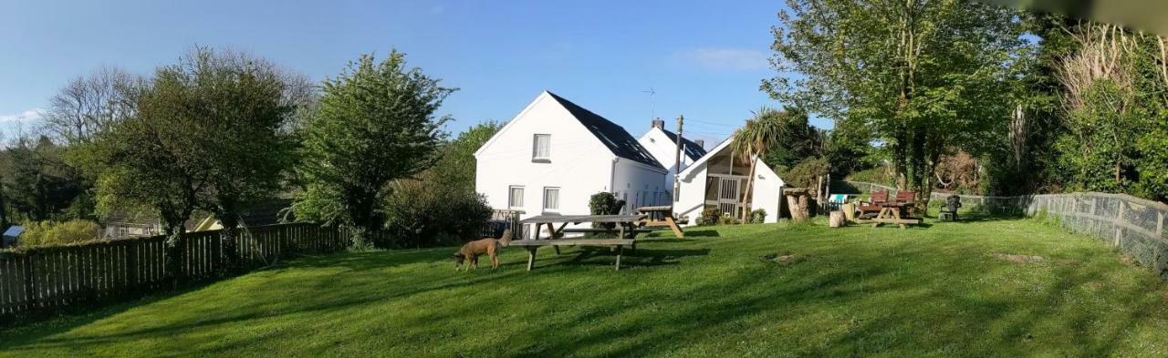 Ivybridge Guesthouse Fishguard Ngoại thất bức ảnh